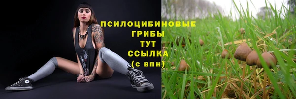 герыч Абинск
